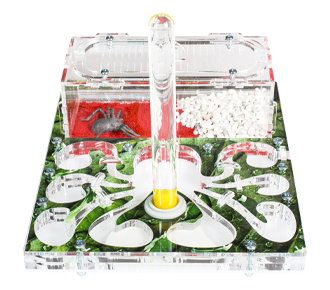 Осьминожка