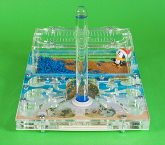 Осьминожка