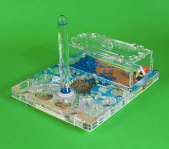 Осьминожка